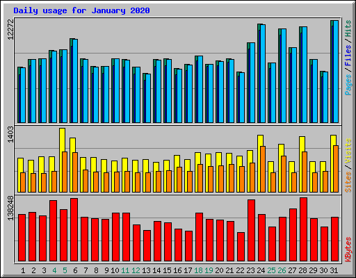 Daily usage for January 2020