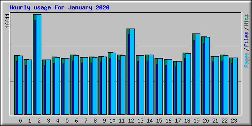 Hourly usage for January 2020